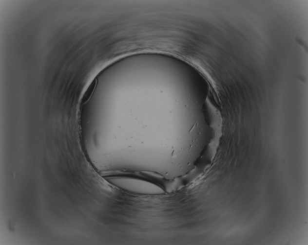 X0000092301532200710051211