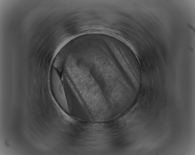 X0000092301533200710051211