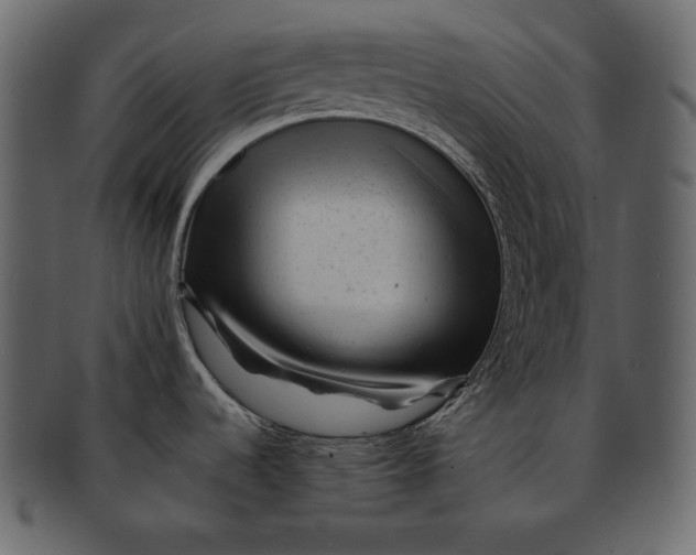 X0000092301536200710051211