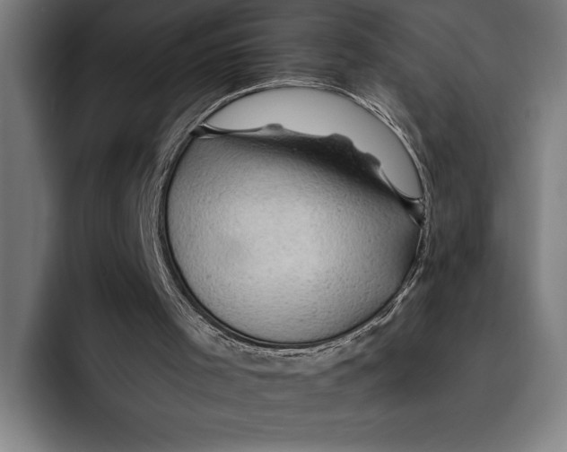 X0000092300001200710121455