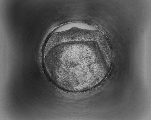 X0000092300006200710121455