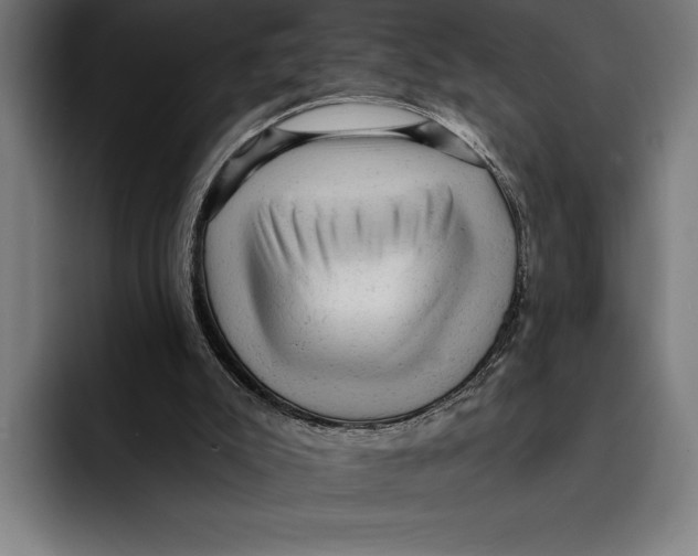 X0000092300007200710121455