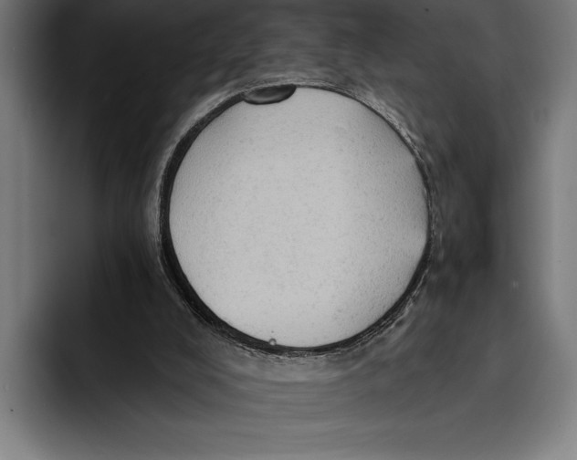 X0000092300008200710121455