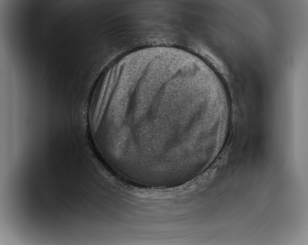 X0000092300009200710121455