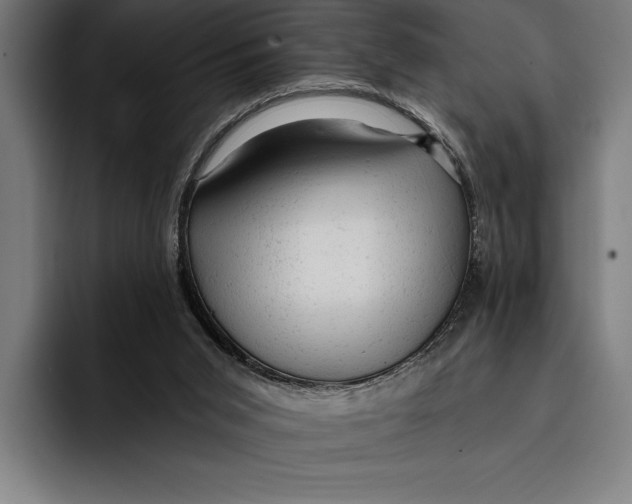 X0000092300015200710121455