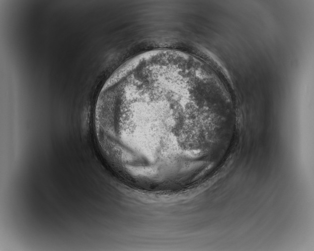 X0000092300018200710121455