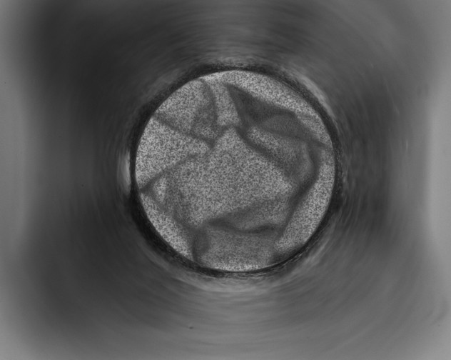 X0000092300020200710121455