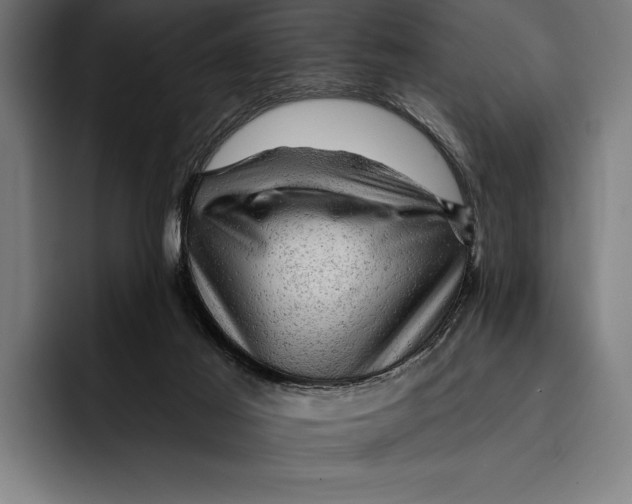 X0000092300021200710121455