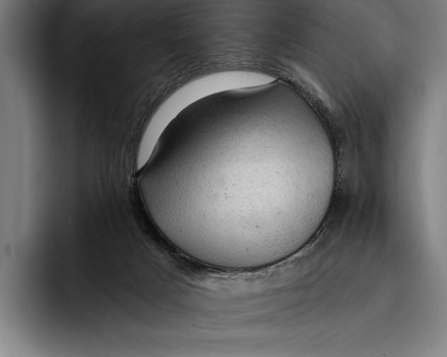 X0000092300025200710121455