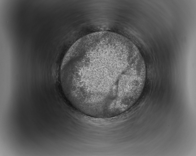 X0000092300030200710121455