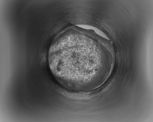 X0000092300032200710121455