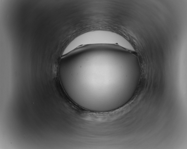 X0000092300033200710121455