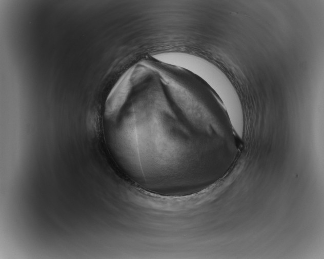 X0000092300035200710121455