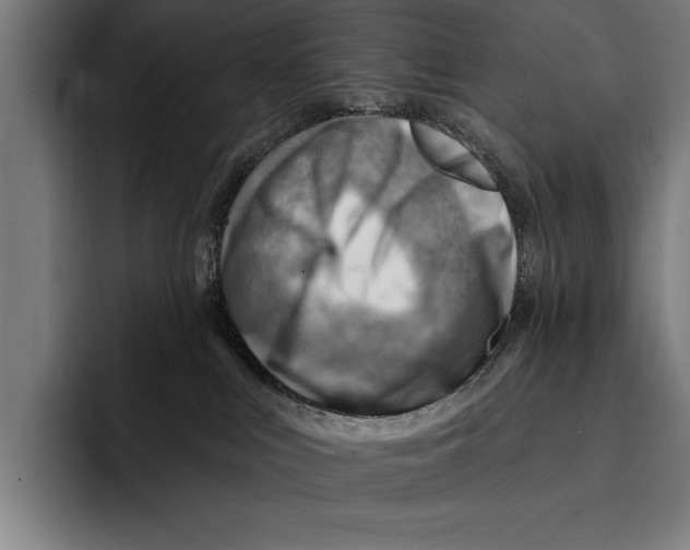 X0000092300043200710121455