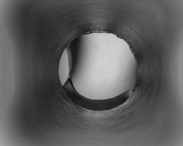 X0000092300045200710121455