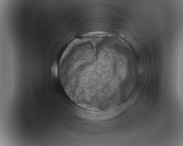 X0000092300046200710121455