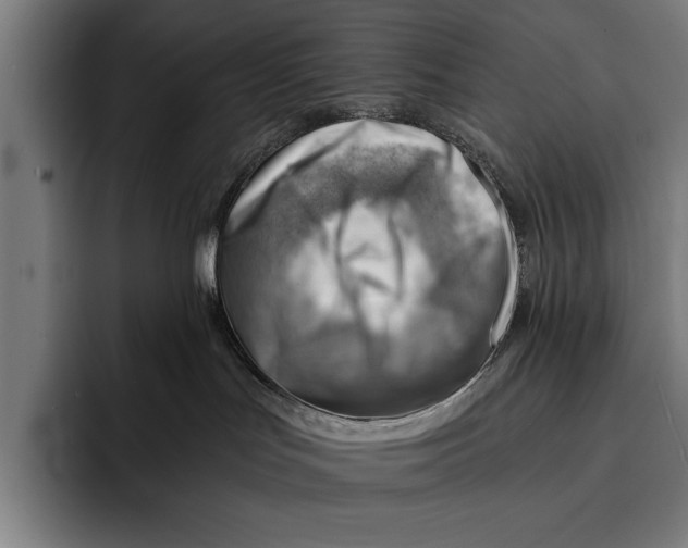 X0000092300047200710121455