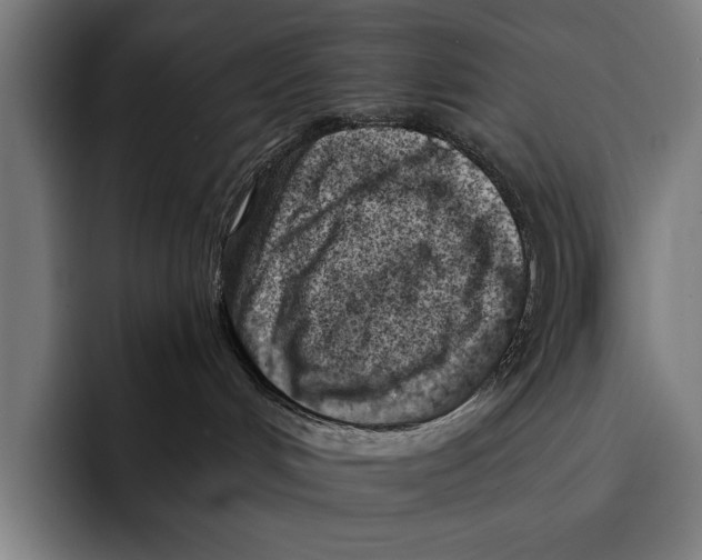 X0000092300048200710121455