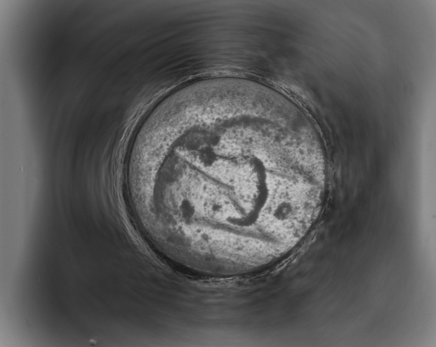 X0000092300049200710121454