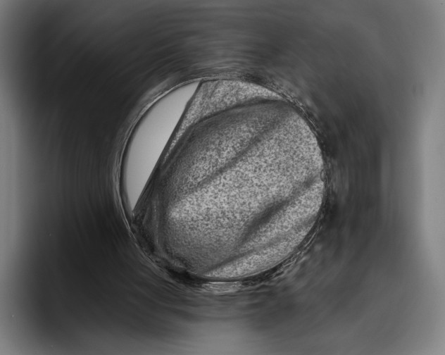 X0000092300051200710121454