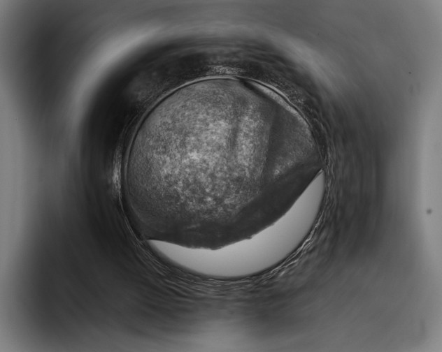 X0000092300052200710121454