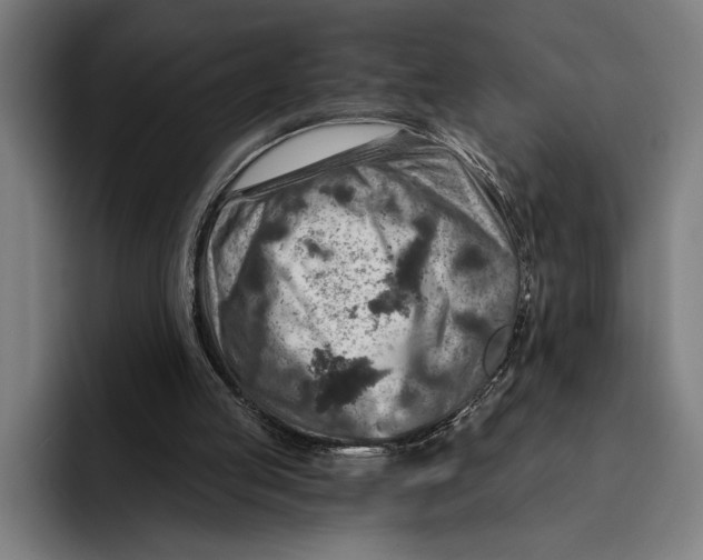 X0000092300053200710121454