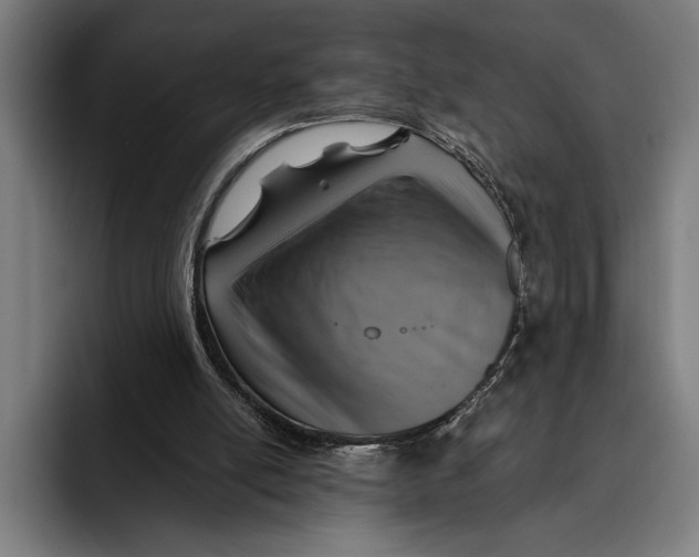 X0000092300054200710121454