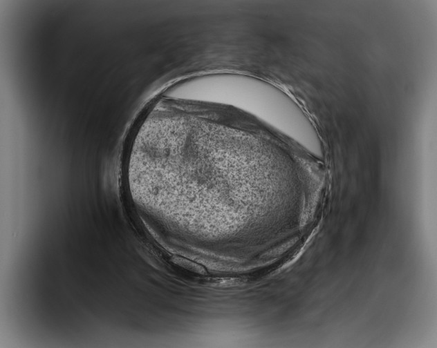 X0000092300056200710121454