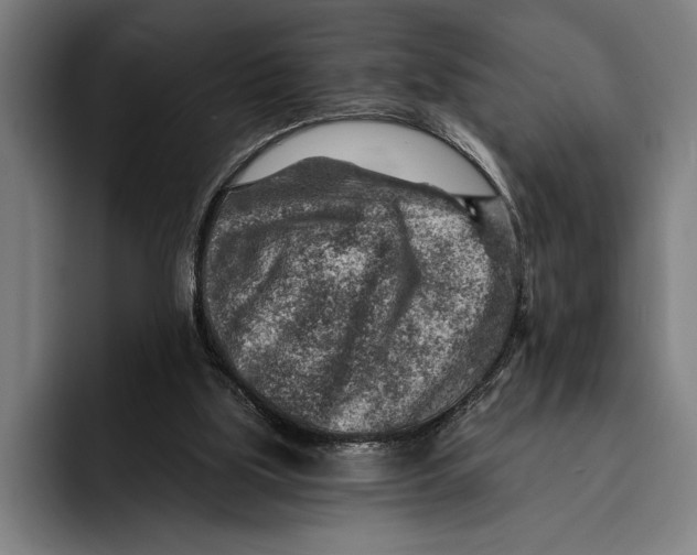 X0000092300059200710121454