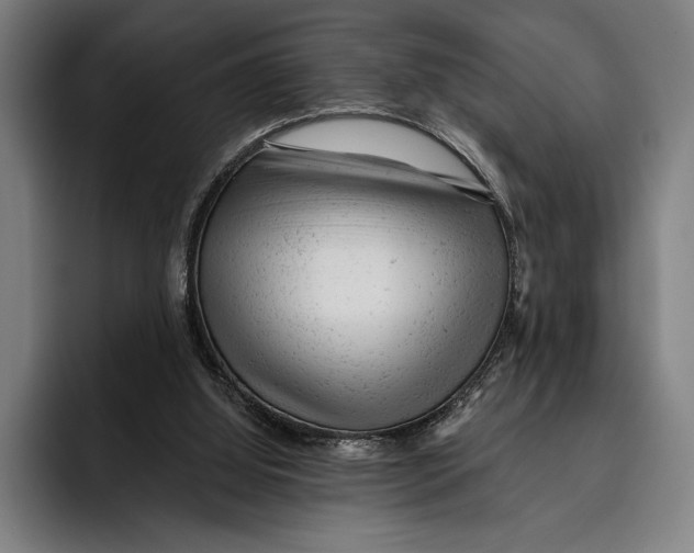 X0000092300060200710121454