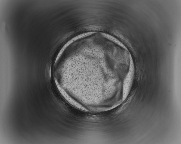 X0000092300062200710121454