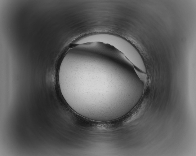 X0000092300064200710121454