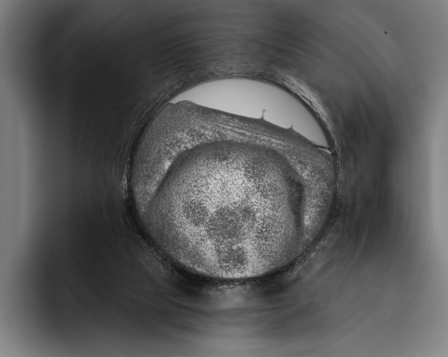 X0000092300065200710121454