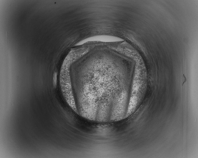 X0000092300070200710121455