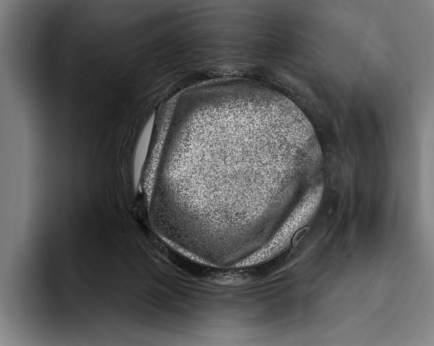 X0000092300075200710121455