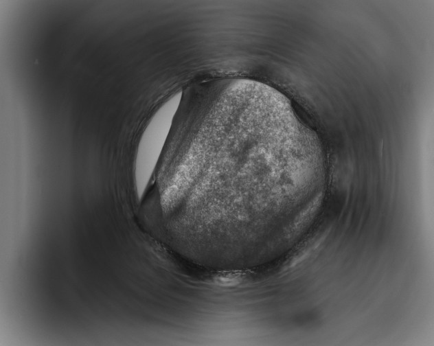 X0000092300076200710121455