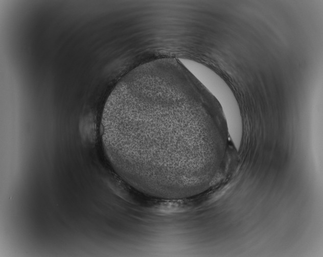 X0000092300080200710121455