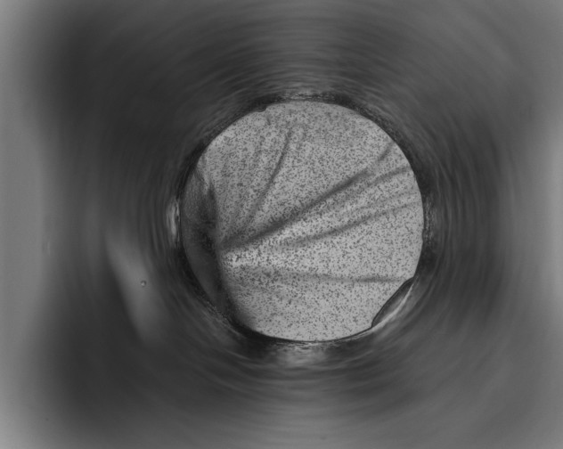 X0000092300094200710121455