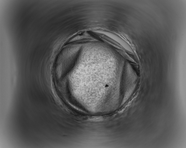 X0000092300097200710121454