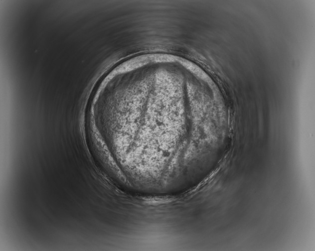 X0000092300099200710121454