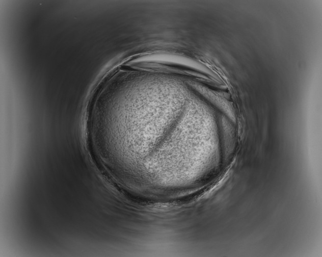 X0000092300101200710121454