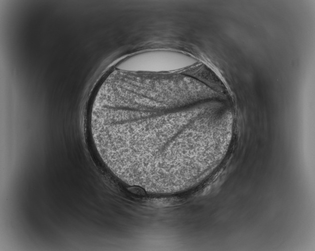 X0000092300103200710121454