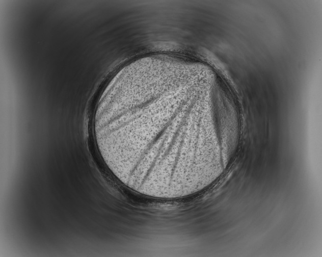 X0000092300106200710121454