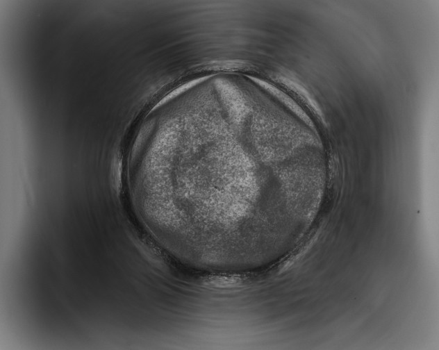 X0000092300110200710121454