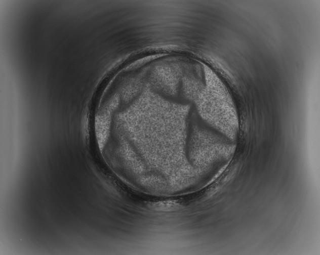 X0000092300112200710121454