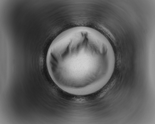 X0000092300113200710121454