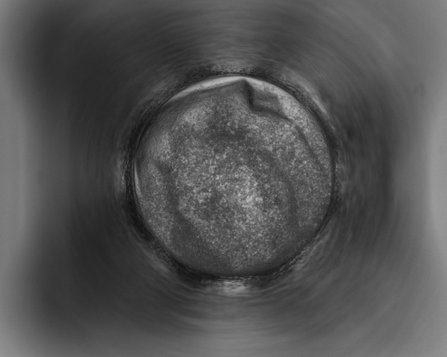 X0000092300114200710121454