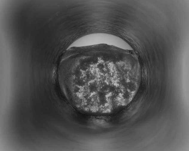 X0000092300127200710121454