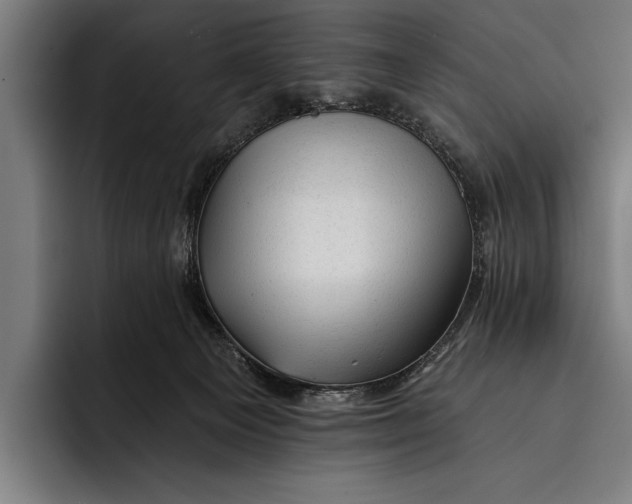 X0000092300129200710121454