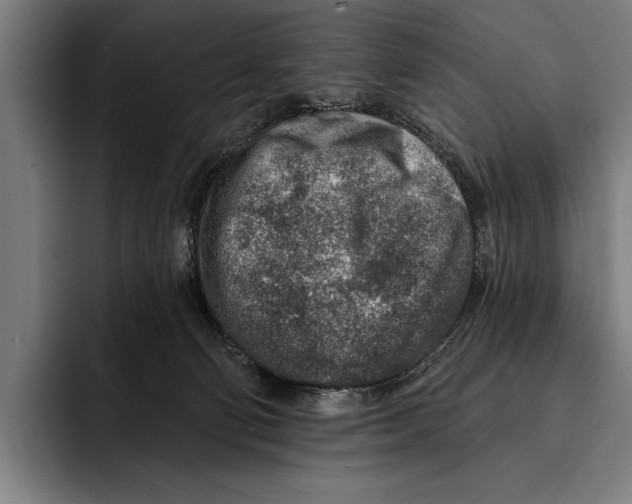 X0000092300130200710121454